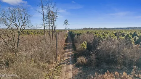 700 Acres Earl Davis Road Rose Hill NC 28458