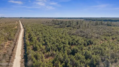 700 Acres Earl Davis Road Rose Hill NC 28458