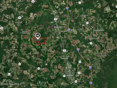 700 Acres Earl Davis Road Rose Hill NC 28458