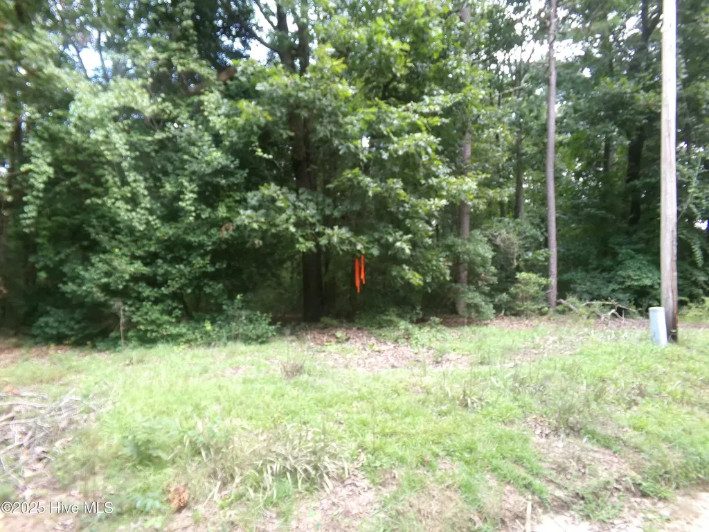 Lot 37 Plantation Road Elizabethtown NC 28337