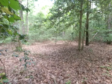 Lot 37 Plantation Road Elizabethtown NC 28337