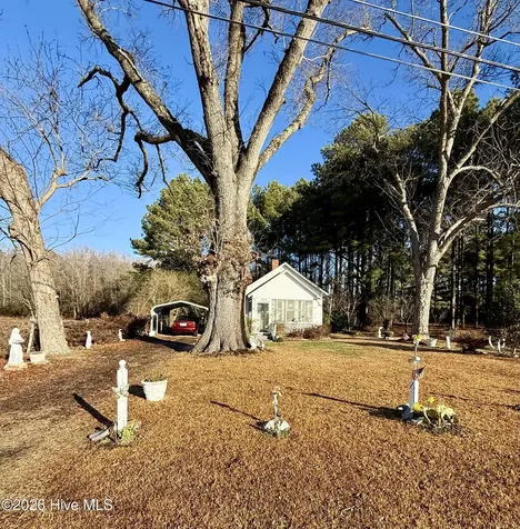 Bethel NC 27812