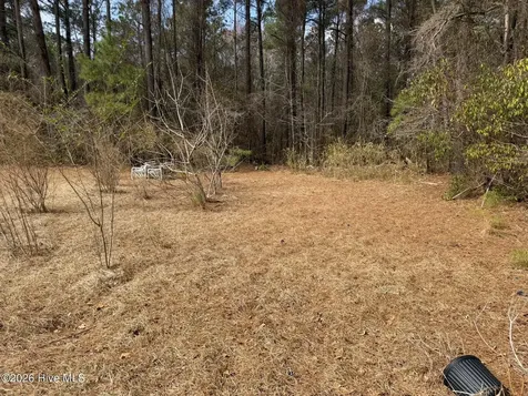 3414 Possum Hill Road Bath NC 27808