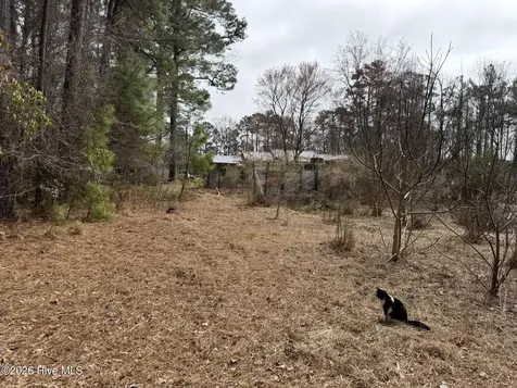 3414 Possum Hill Road Bath NC 27808