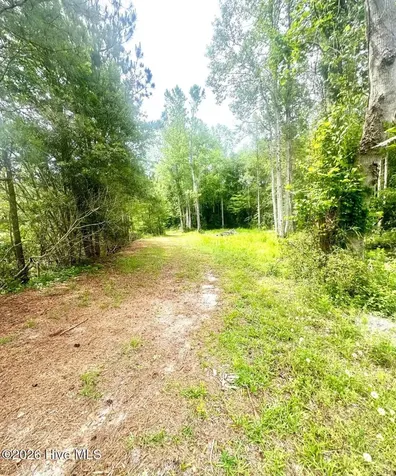 3984 Pocosin Road Lake Waccamaw NC 28450