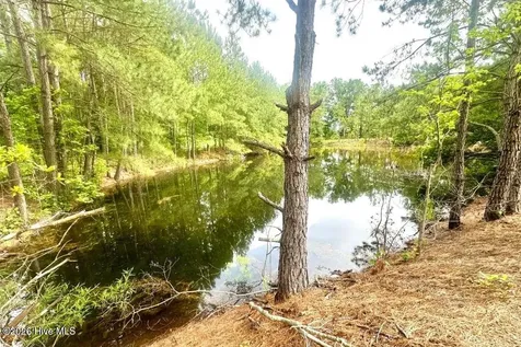 3984 Pocosin Road Lake Waccamaw NC 28450