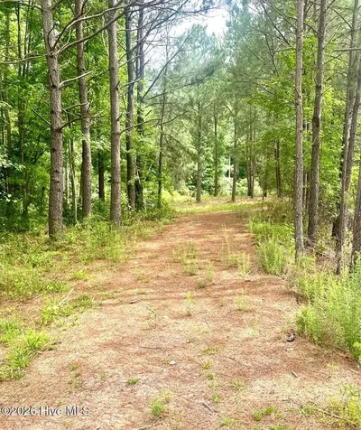 3984 Pocosin Road Lake Waccamaw NC 28450