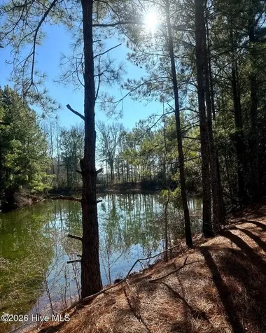 3984 Pocosin Road Lake Waccamaw NC 28450