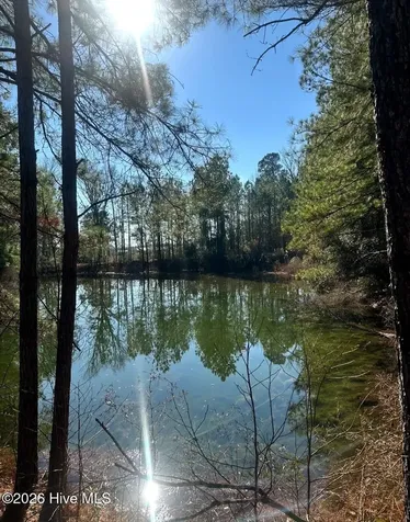 3984 Pocosin Road Lake Waccamaw NC 28450