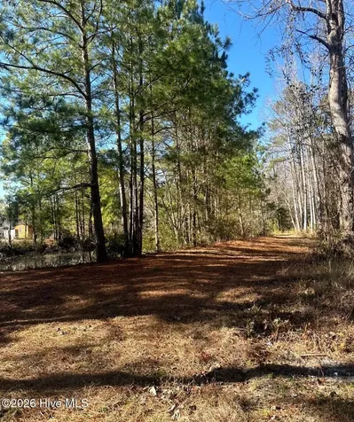 3984 Pocosin Road Lake Waccamaw NC 28450