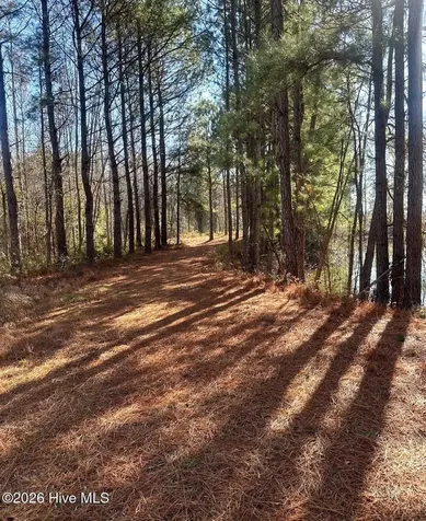 3984 Pocosin Road Lake Waccamaw NC 28450