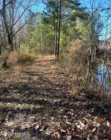 3984 Pocosin Road Lake Waccamaw NC 28450