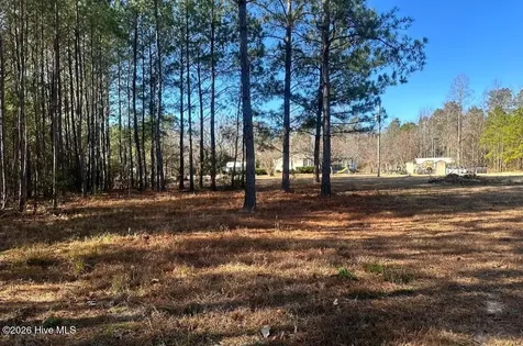 3984 Pocosin Road Lake Waccamaw NC 28450