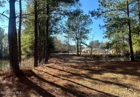 3984 Pocosin Road Lake Waccamaw NC 28450