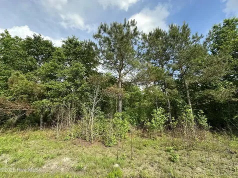 Lot 2 Mcgirt Road Maxton NC 28364