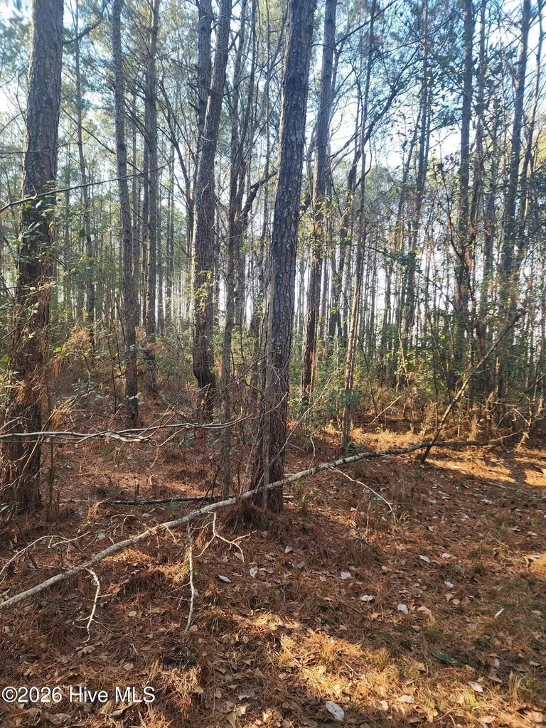 210 Highway Off Rocky Point NC 28457