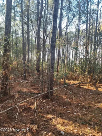 210 Highway Off Rocky Point NC 28457