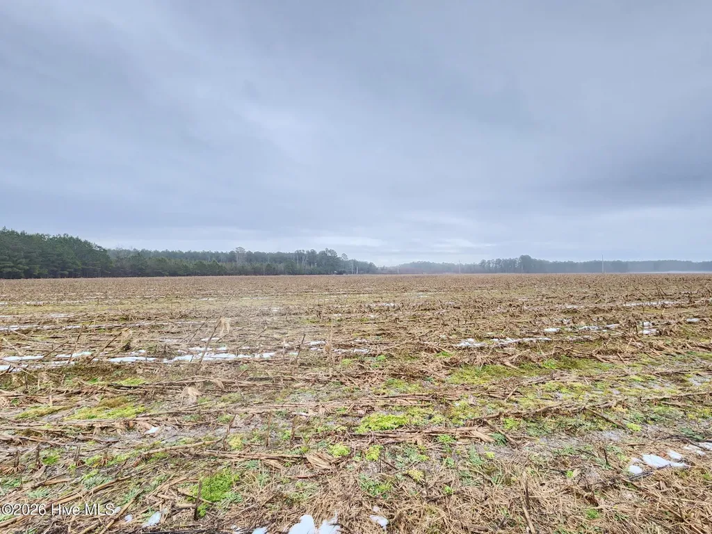 Tbd Ramsey Ford Road Tabor City NC 28463