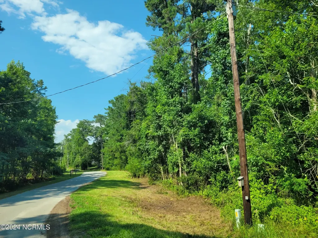 454 Creekview Lane SE Leland NC 28451