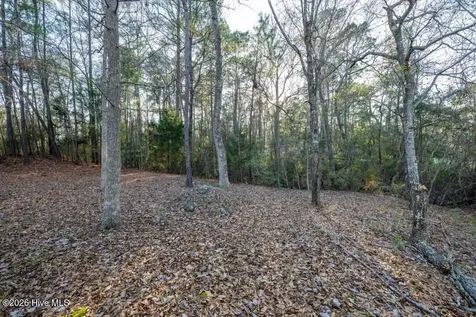 413 River Crest Drive Shallotte NC 28470