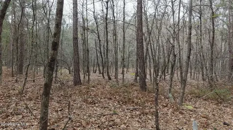 0 Wood Lane Shannon NC 28386