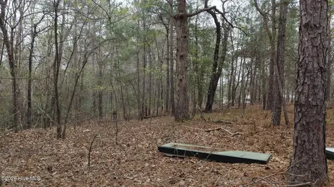 0 Wood Lane Shannon NC 28386