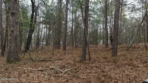 0 Wood Lane Shannon NC 28386