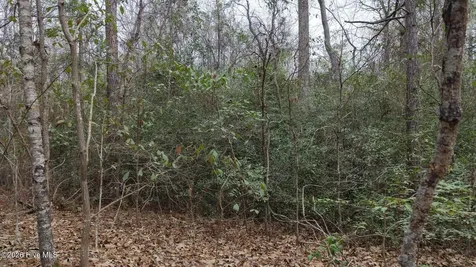 0 Wood Lane Shannon NC 28386