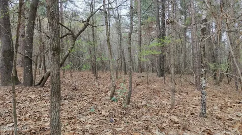 0 Wood Lane Shannon NC 28386