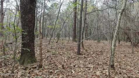 0 Wood Lane Shannon NC 28386