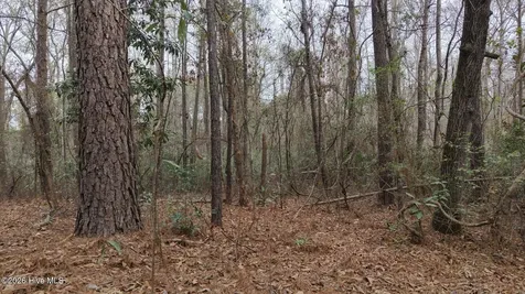 0 Wood Lane Shannon NC 28386