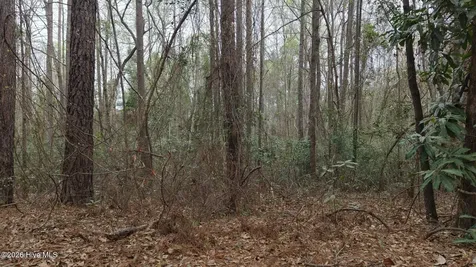 0 Wood Lane Shannon NC 28386