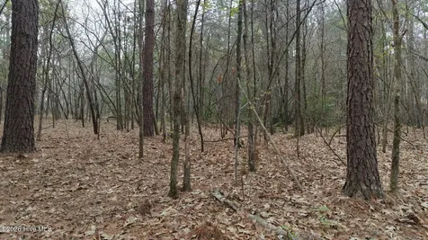 0 Wood Lane Shannon NC 28386