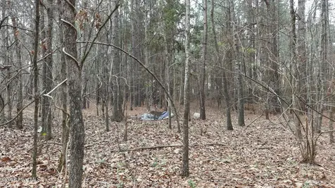 0 Wood Lane Shannon NC 28386