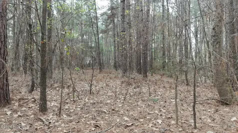 0 Wood Lane Shannon NC 28386