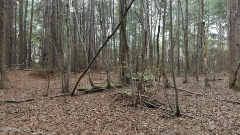0 Wood Lane Shannon NC 28386