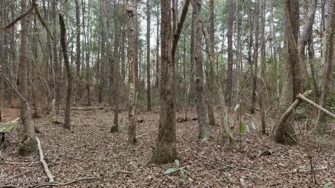 0 Wood Lane Shannon NC 28386