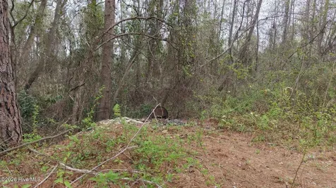 0 Wood Lane Shannon NC 28386