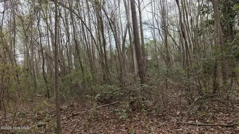 0 Wood Lane Shannon NC 28386