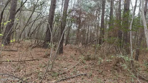 0 Wood Lane Shannon NC 28386