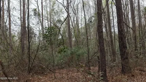 0 Wood Lane Shannon NC 28386