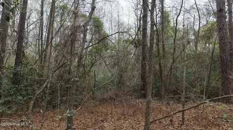 0 Wood Lane Shannon NC 28386