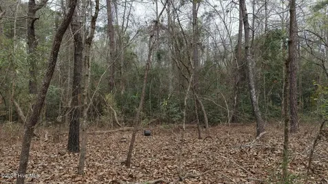 0 Wood Lane Shannon NC 28386