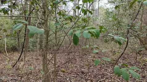 0 Wood Lane Shannon NC 28386