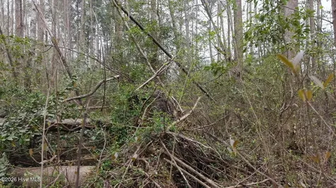 0 Wood Lane Shannon NC 28386