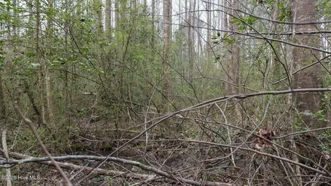 0 Wood Lane Shannon NC 28386