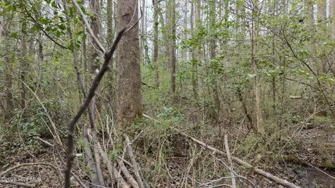 0 Wood Lane Shannon NC 28386