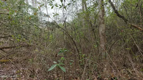 0 Wood Lane Shannon NC 28386
