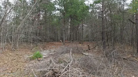 0 Wood Lane Shannon NC 28386