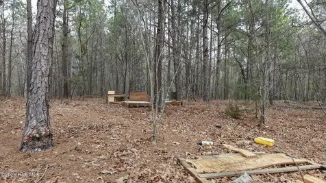 0 Wood Lane Shannon NC 28386